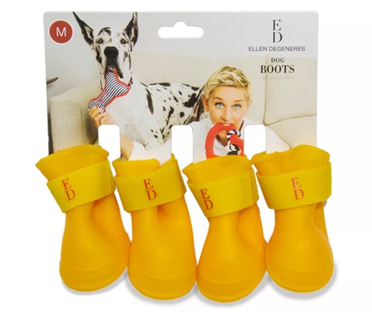 ED by Ellen DeGeneres ED by Ellen DeGeneres Dog's Yellow Boots Big Lots