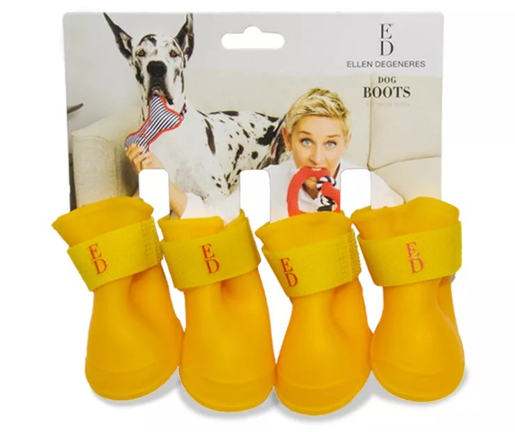 ED by Ellen DeGeneres ED by Ellen DeGeneres Dog's Yellow Boots Big Lots