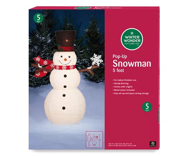 Lighted Frosty The Snowman Outdoor Christmas Decoration Shelly Lighting