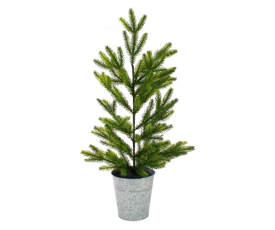 Northlight 2' Pine Unlit Artificial Potted Christmas Tree Big Lots