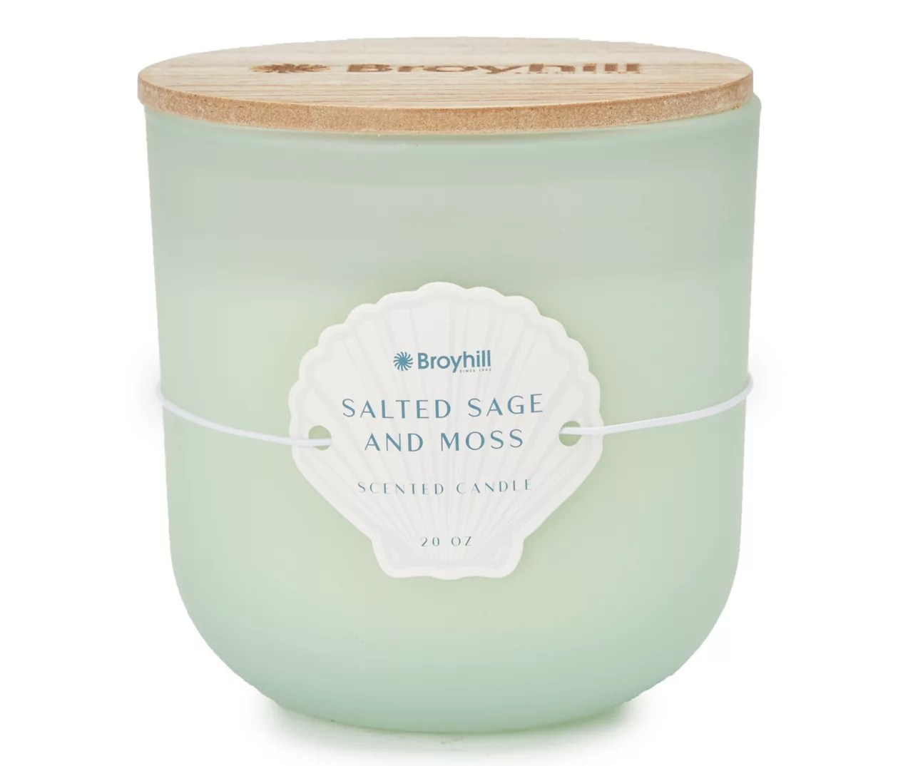 Salted Sage & Moss Green Frosted Jar Candle, 20 oz. Big Lots
