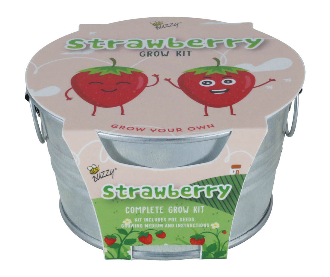 Buzzy Mini Strawberry & Silver Basin Grow Kit Big Lots