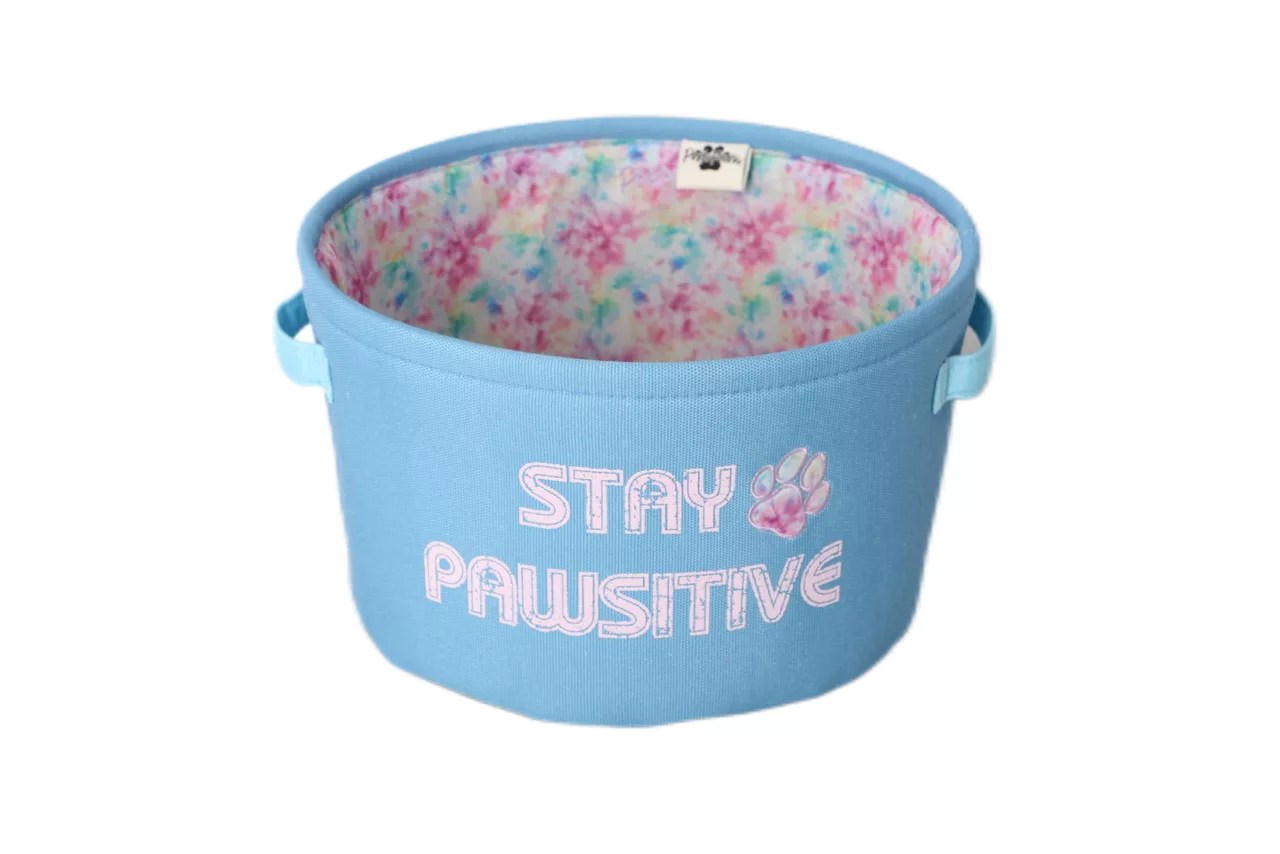 Posh Paws "Stay Pawsitive" Blue Pet Toy Bin Big Lots