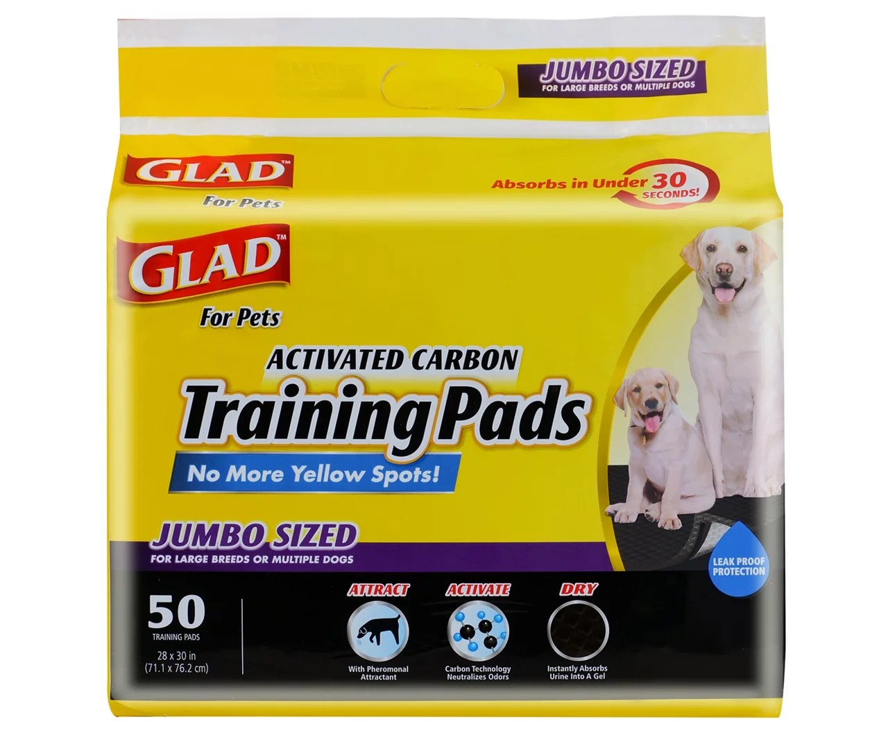 How Can I Attract My Dog To Pee