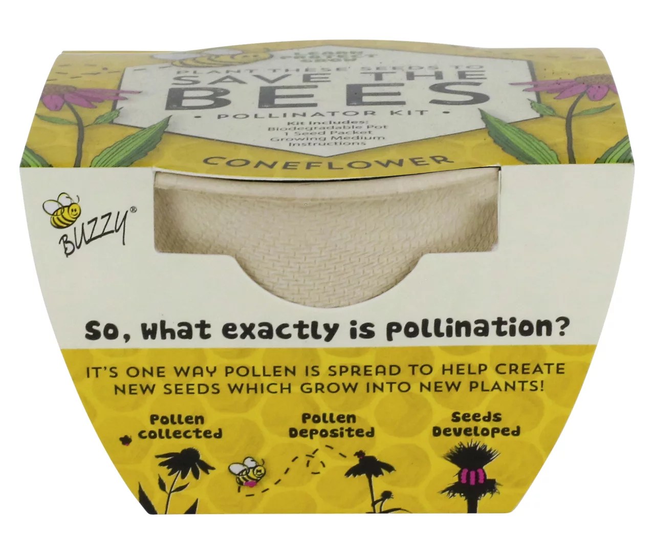 Buzzy Save the Bees Coneflower Biodegradable Grow Kit Big Lots
