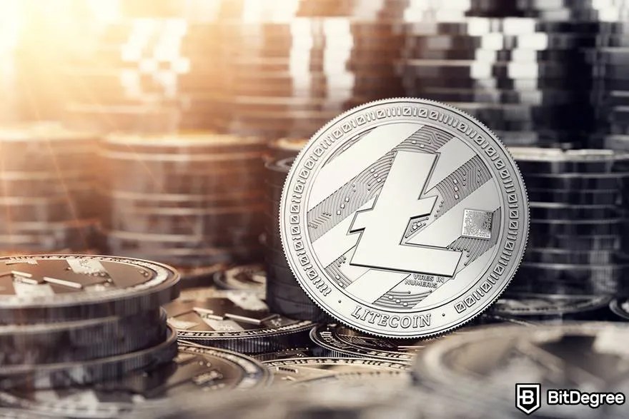 Litecoin Mining Hardware Guide Best Litecoin Mining Rig