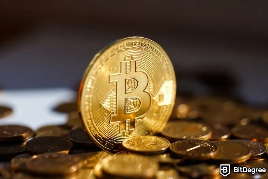 Why is Crypto Going Up? The Main Reasons Behind Price Booms