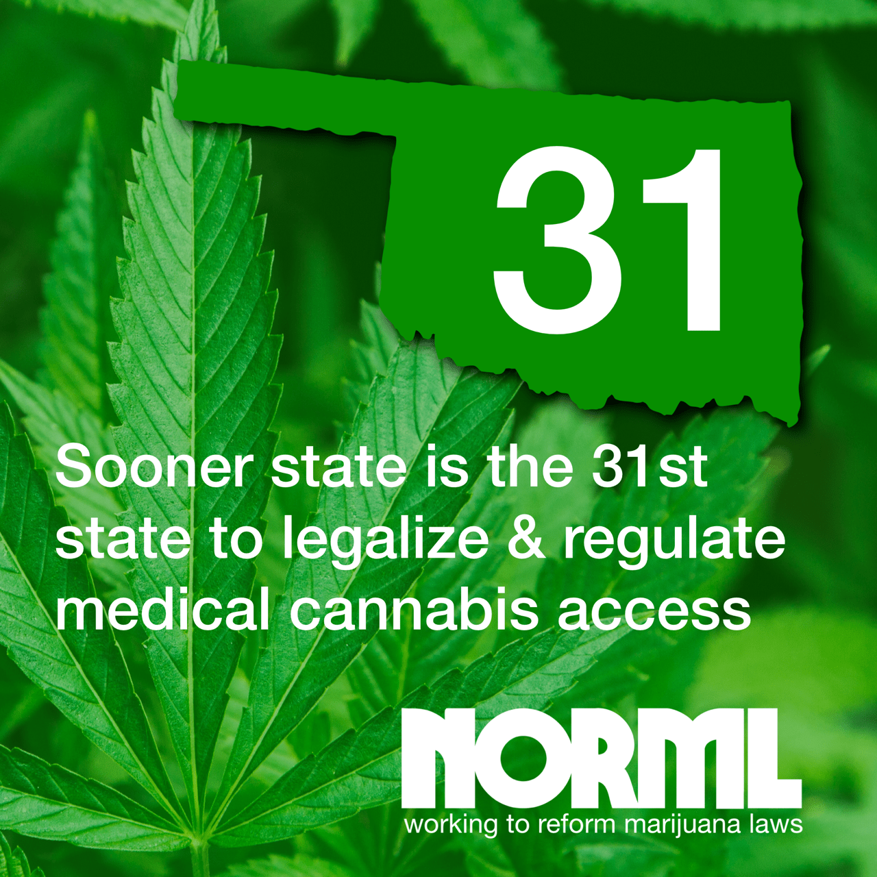 Oklahoma Cannabis Laws racefasr