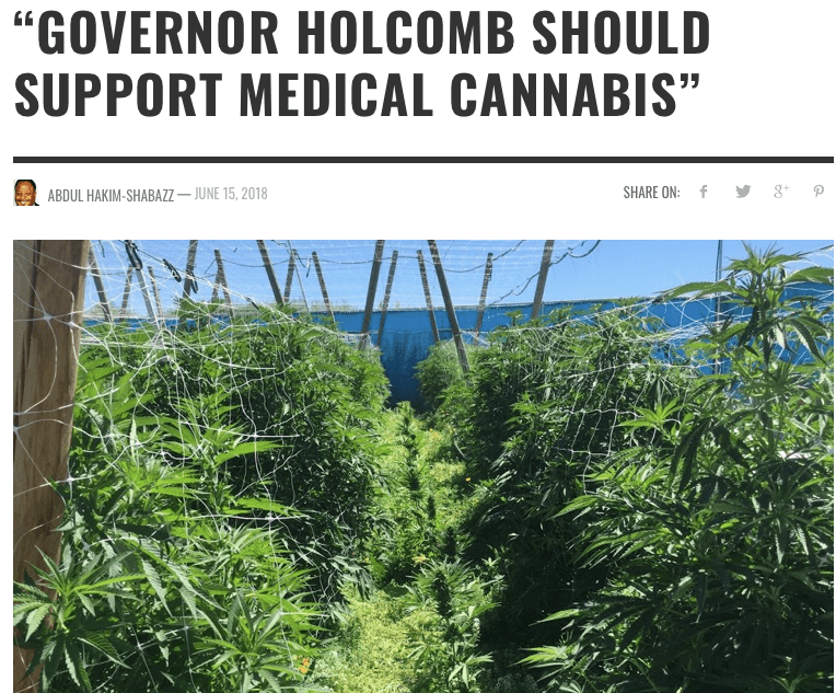 NORML Chapter Newsletter NORML Blog, Marijuana Law Reform