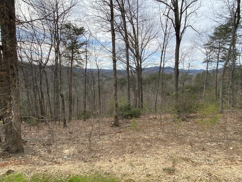 Cliffs Valley ABSOLUTE Auction