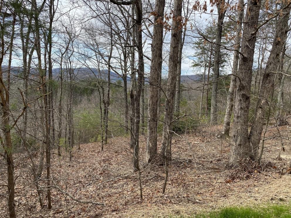 Cliffs Valley ABSOLUTE Auction