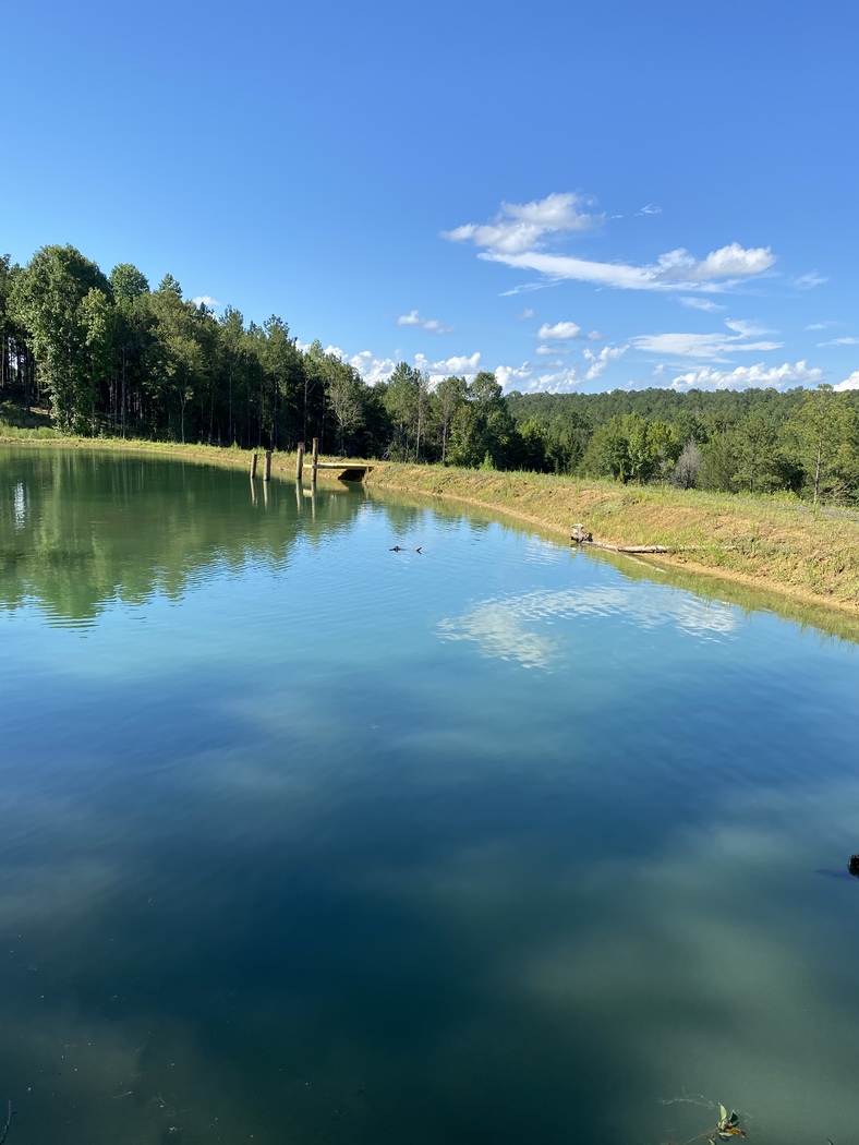Our Work Aquatic Vegetation Removal
