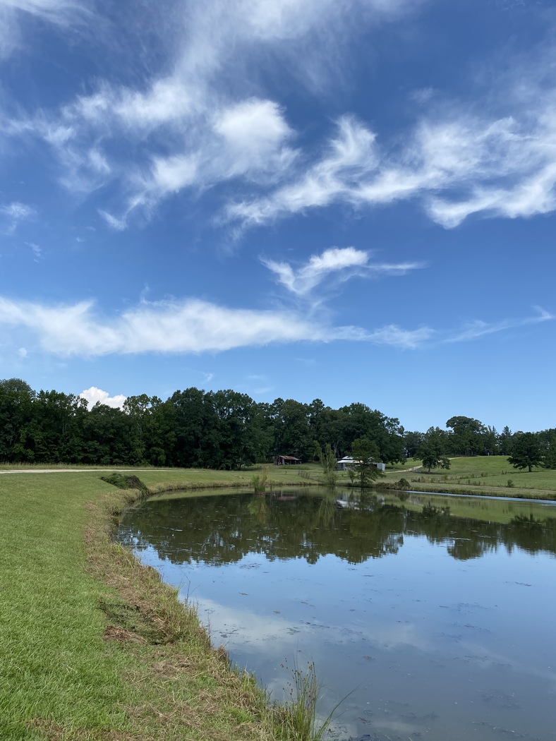 Our Work Aquatic Vegetation Removal