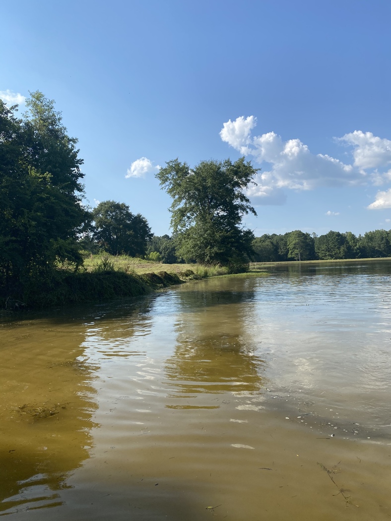 Our Work Aquatic Vegetation Removal