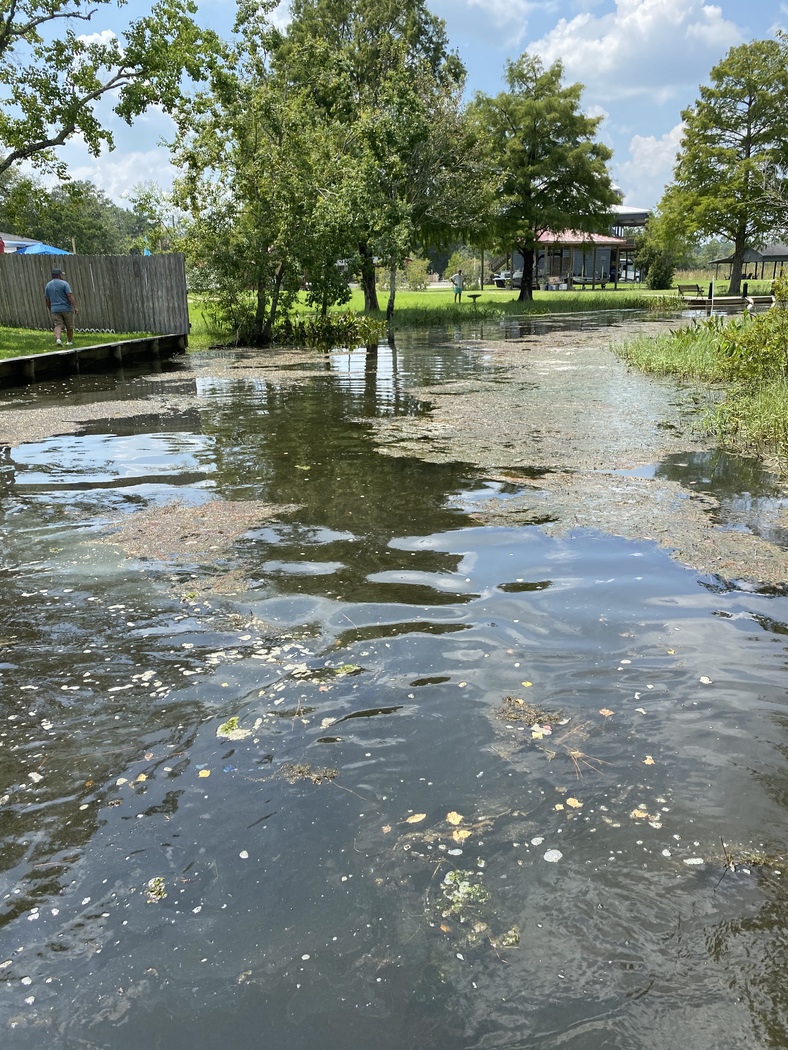 Our Work Aquatic Vegetation Removal