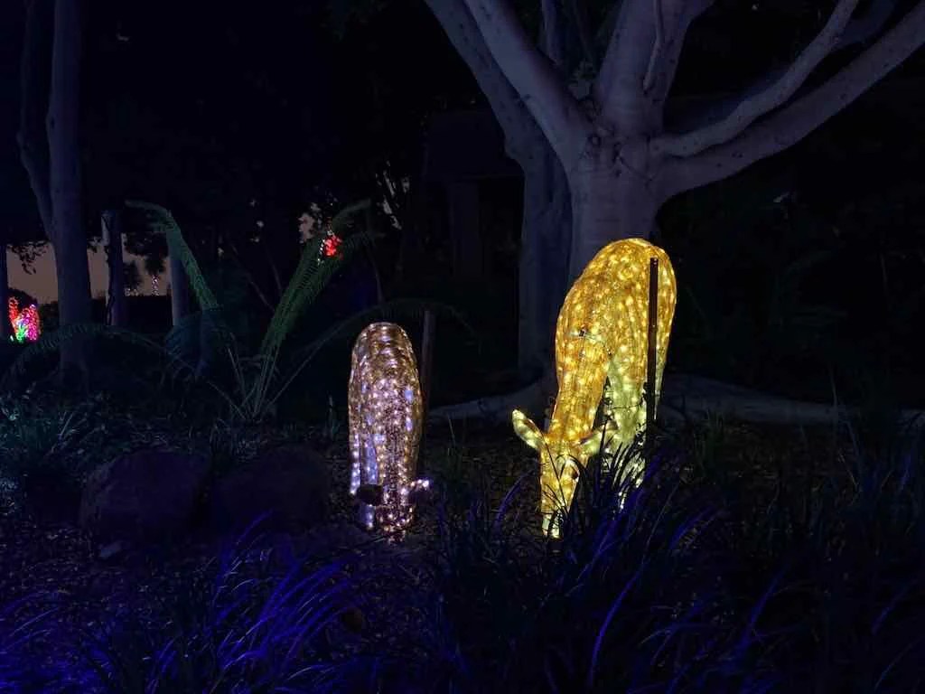 Hunter Valley Christmas Lights 2022