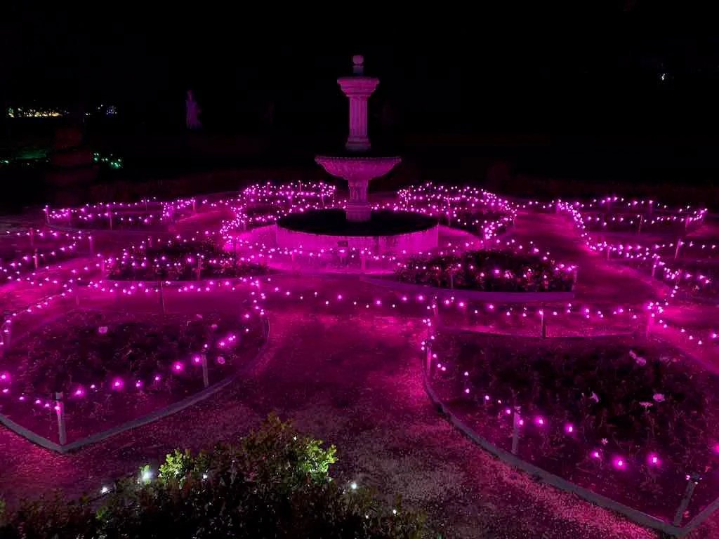 Hunter Valley Christmas Lights 2022