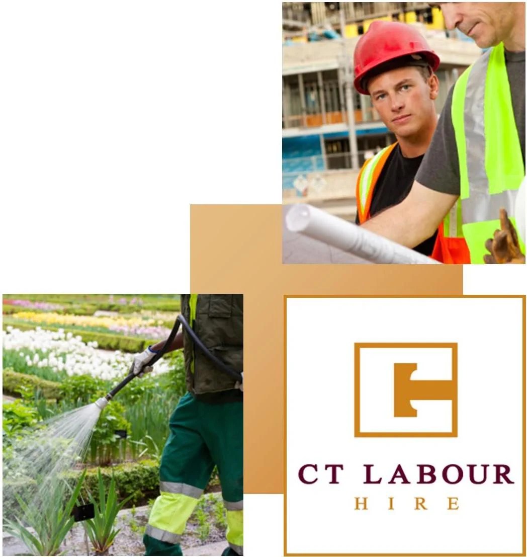 CT Labour Hire Labour Hire Services Construction, Electrical, Civil