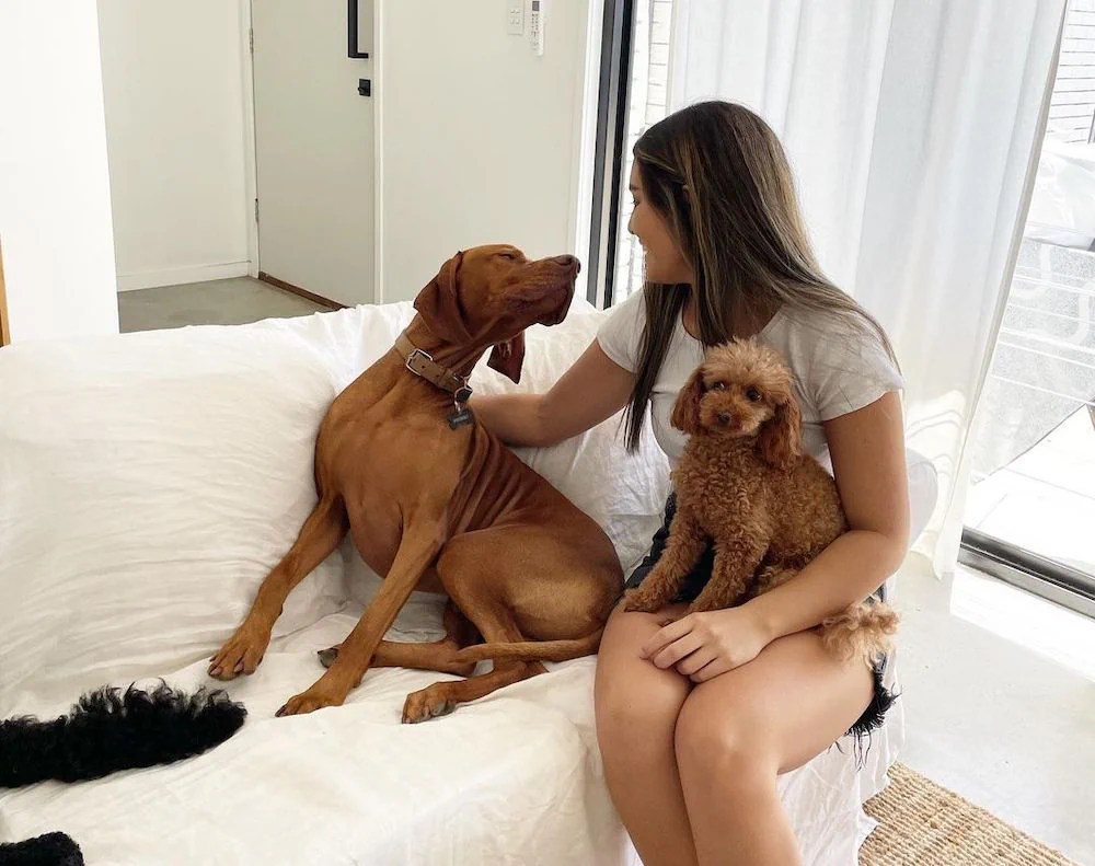 Mad Paws revenue more than triples as sales surge