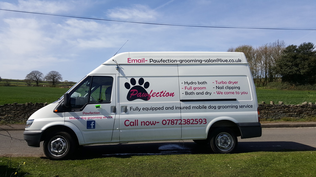 Details for Pawfection mobile dog grooming service in Mirror