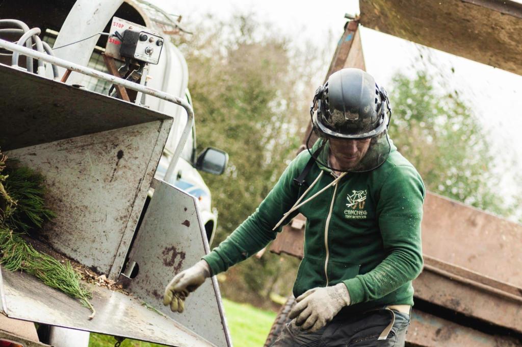 Edmonds Tree Services 1 Heol Newydd, Cwmbran, NP44 5HS