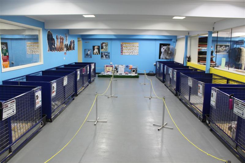 Puppy Palace Pet Shop and Grooming 30 Pickering Street, Enoggera, QLD, 4051