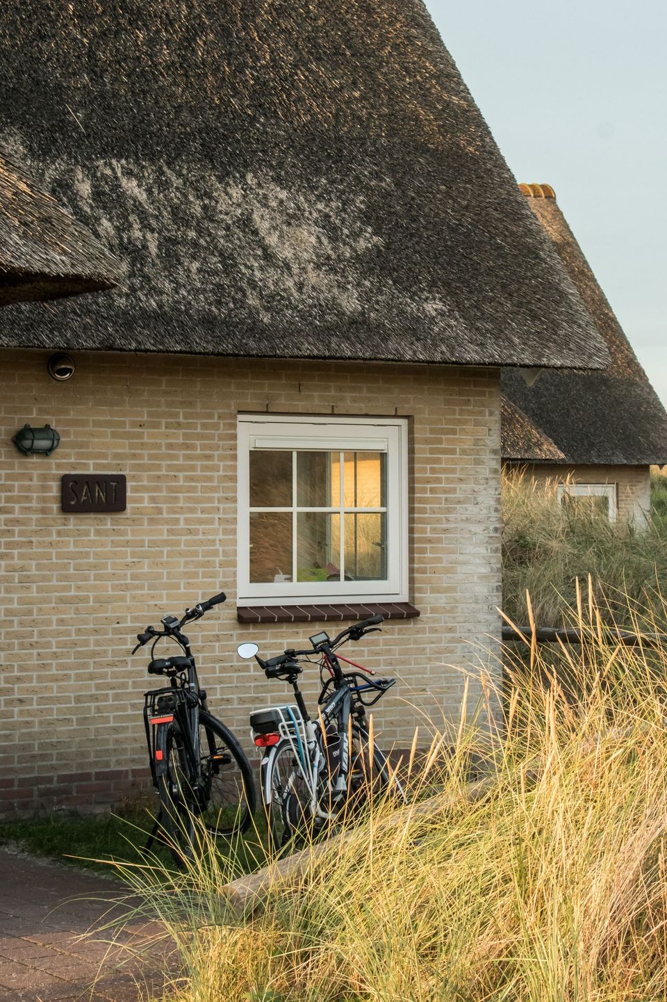 huisje op vlieland met hond