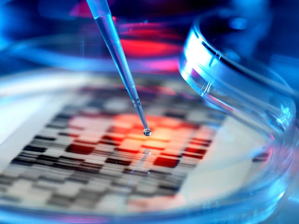 How to Trade on ARK Invest ETFs in the UK CMC Markets