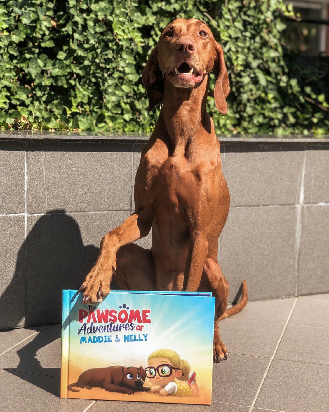 Most popular pet names in 2022 in the United States