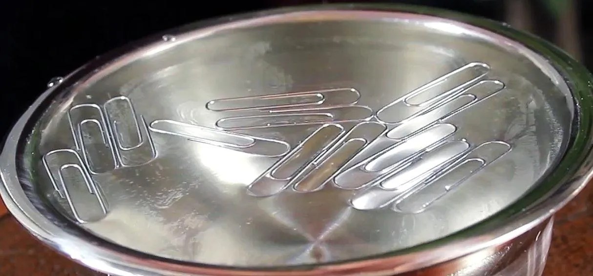 How to Make a Paperclip Float on Water