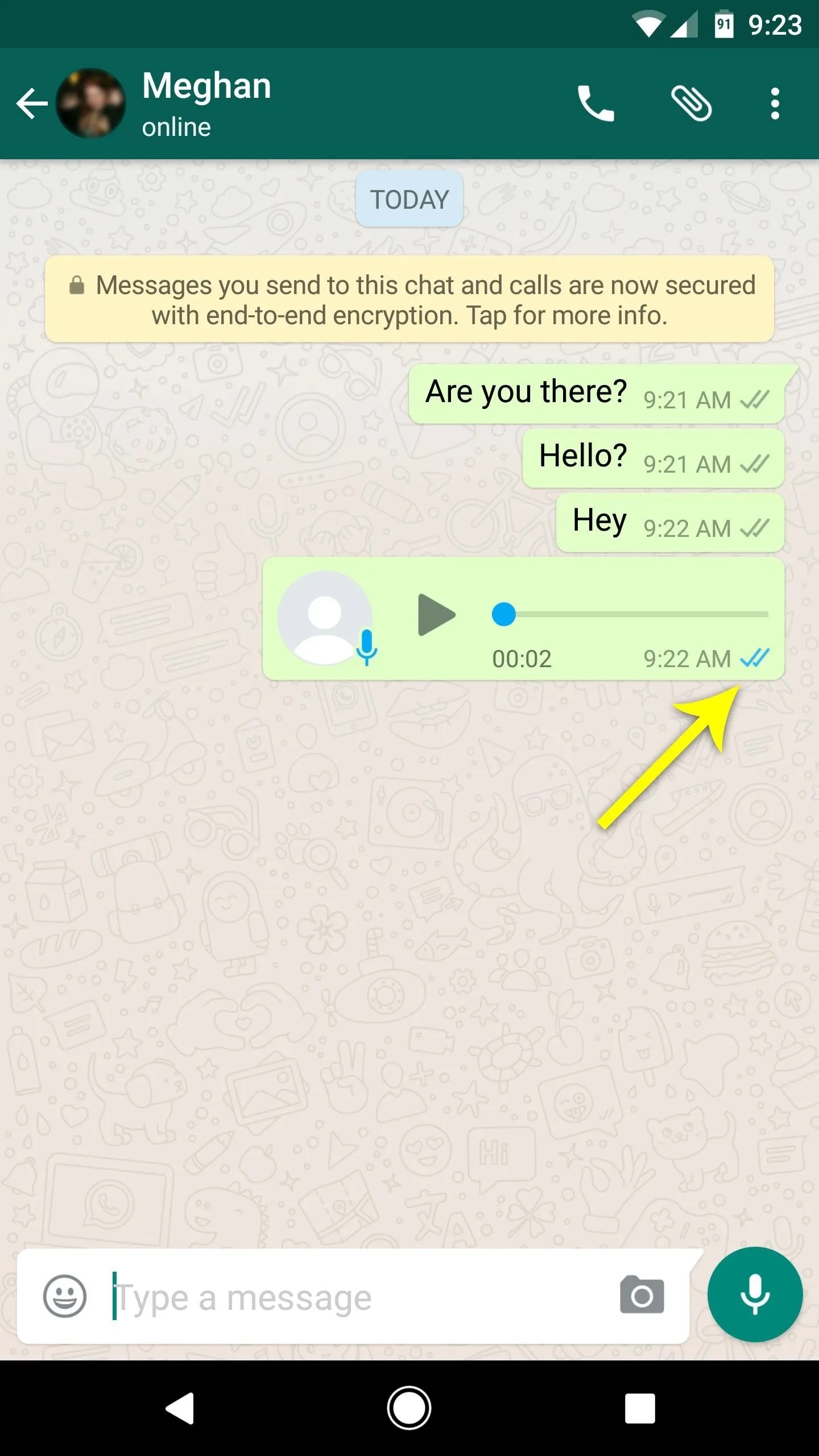 How to Tell if Someone Has Read Your WhatsApp Message—Even if They Have