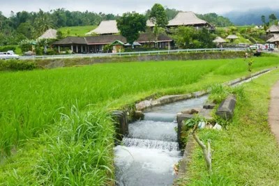 Pahami Cara Pengairan Air yang Baik dan Benar