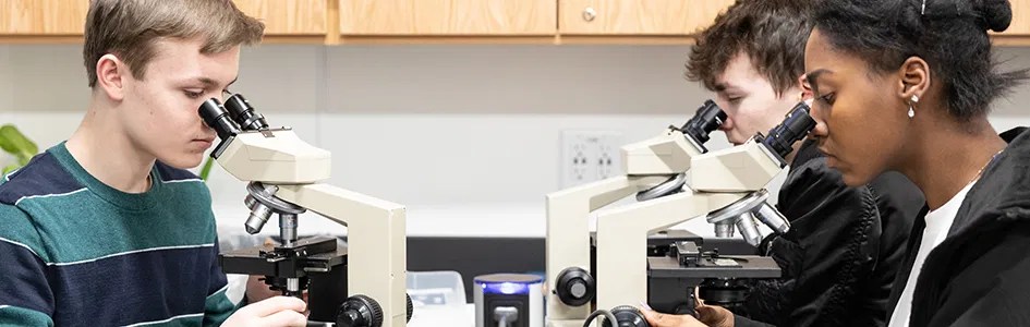 ark encounter music festival 2023 Labs Coming to the Ark Encounter