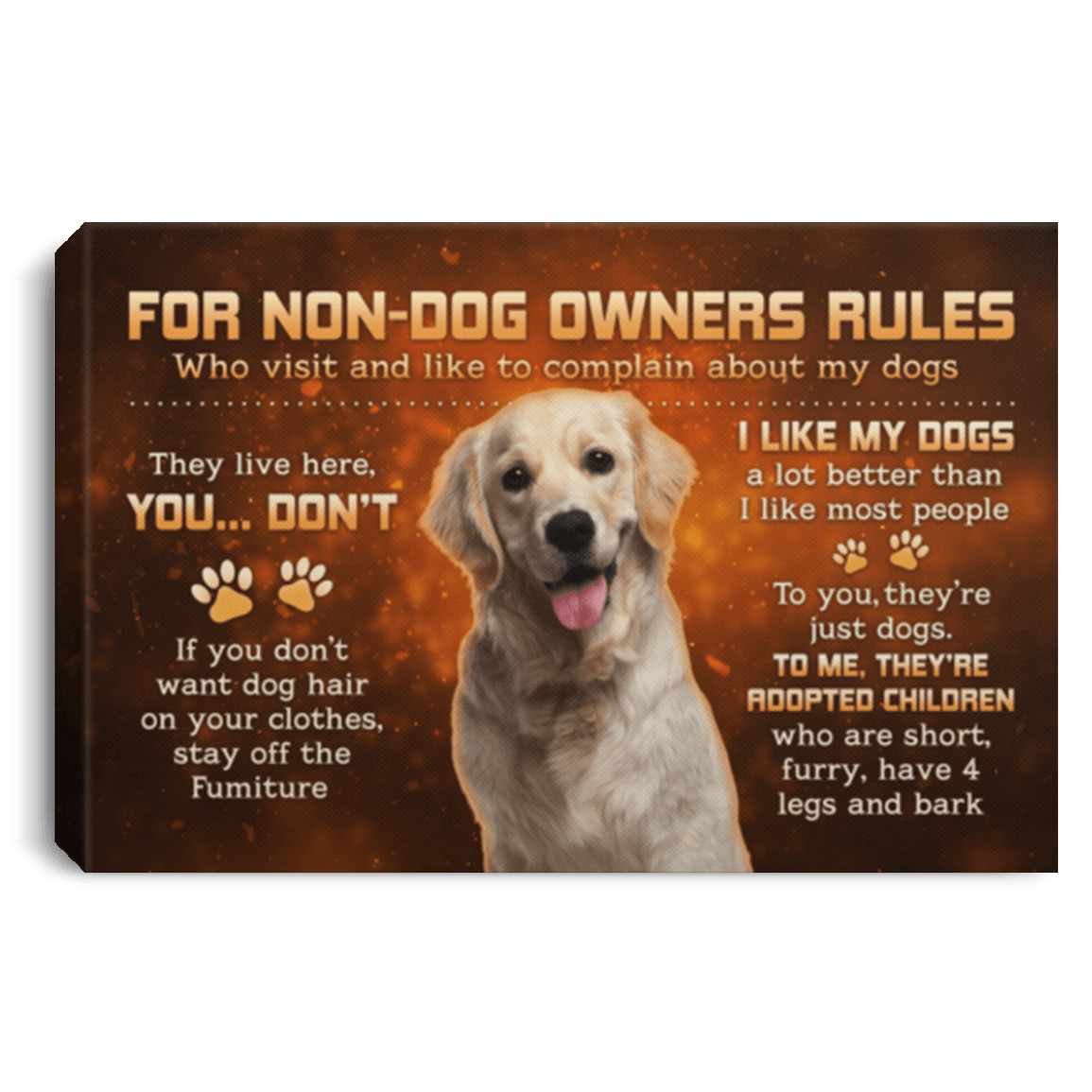 Labrador Retreiver House Rules For NonDog Owners Rules Labrador Dogs