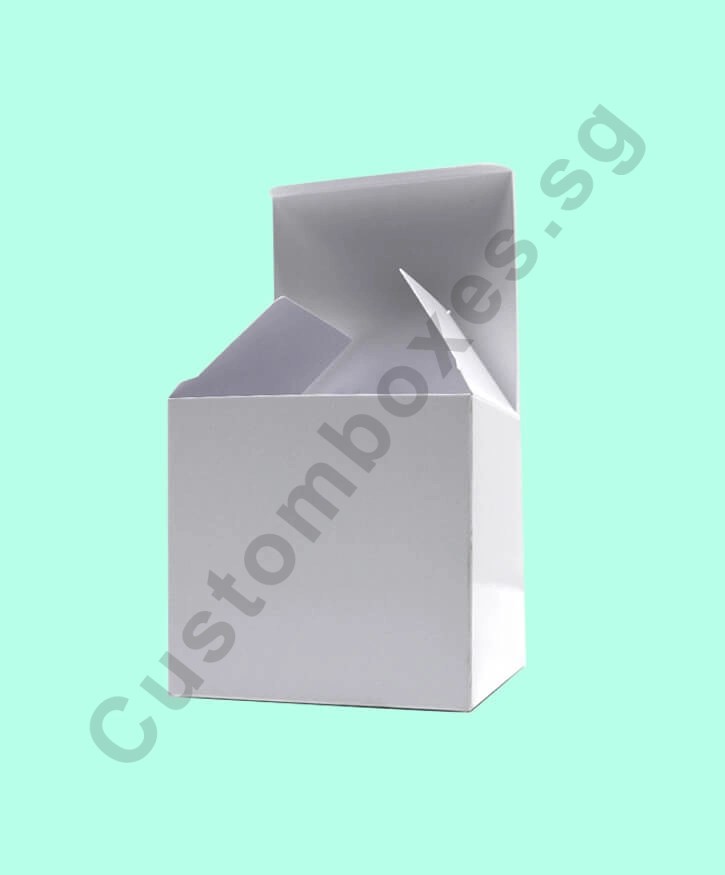 Custom Mug Boxes (Best Packaging Suppliers in Singapore)