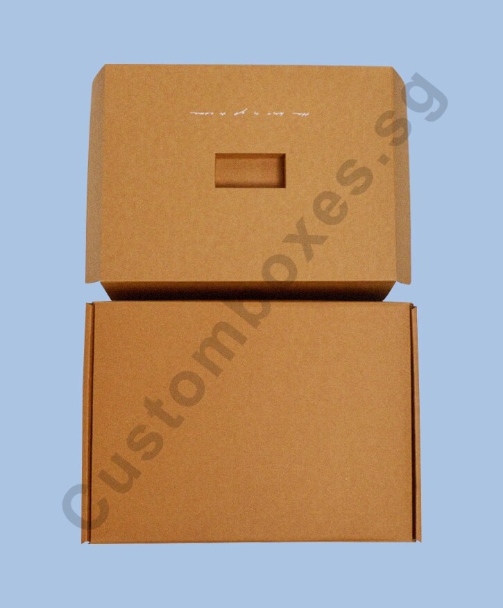 Corrugated Mailer with Insert Box in Singapore