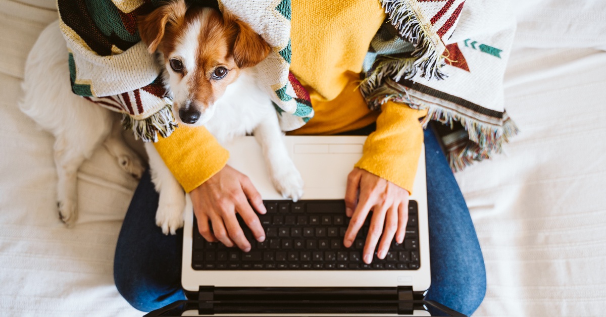 How to Ease Your Pandemic Puppy's Separation Anxiety Dailybreak