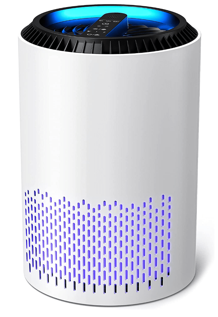 The Best Air Purifiers to Get You Through Allergy Season Dailybreak