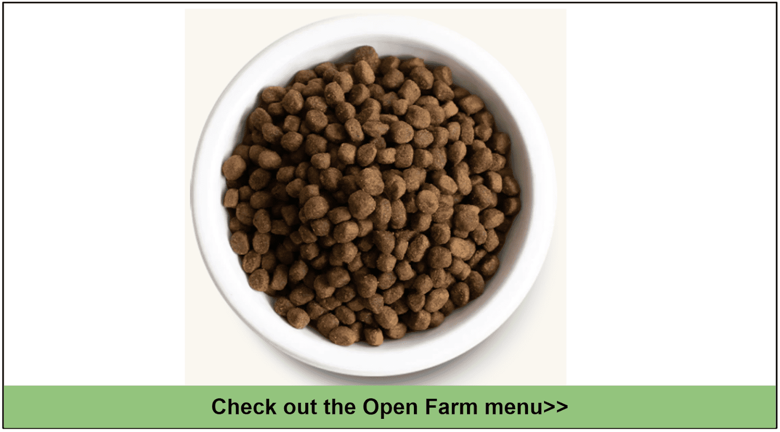 10 Best Healthy Dog Food Delivery Services for 2023