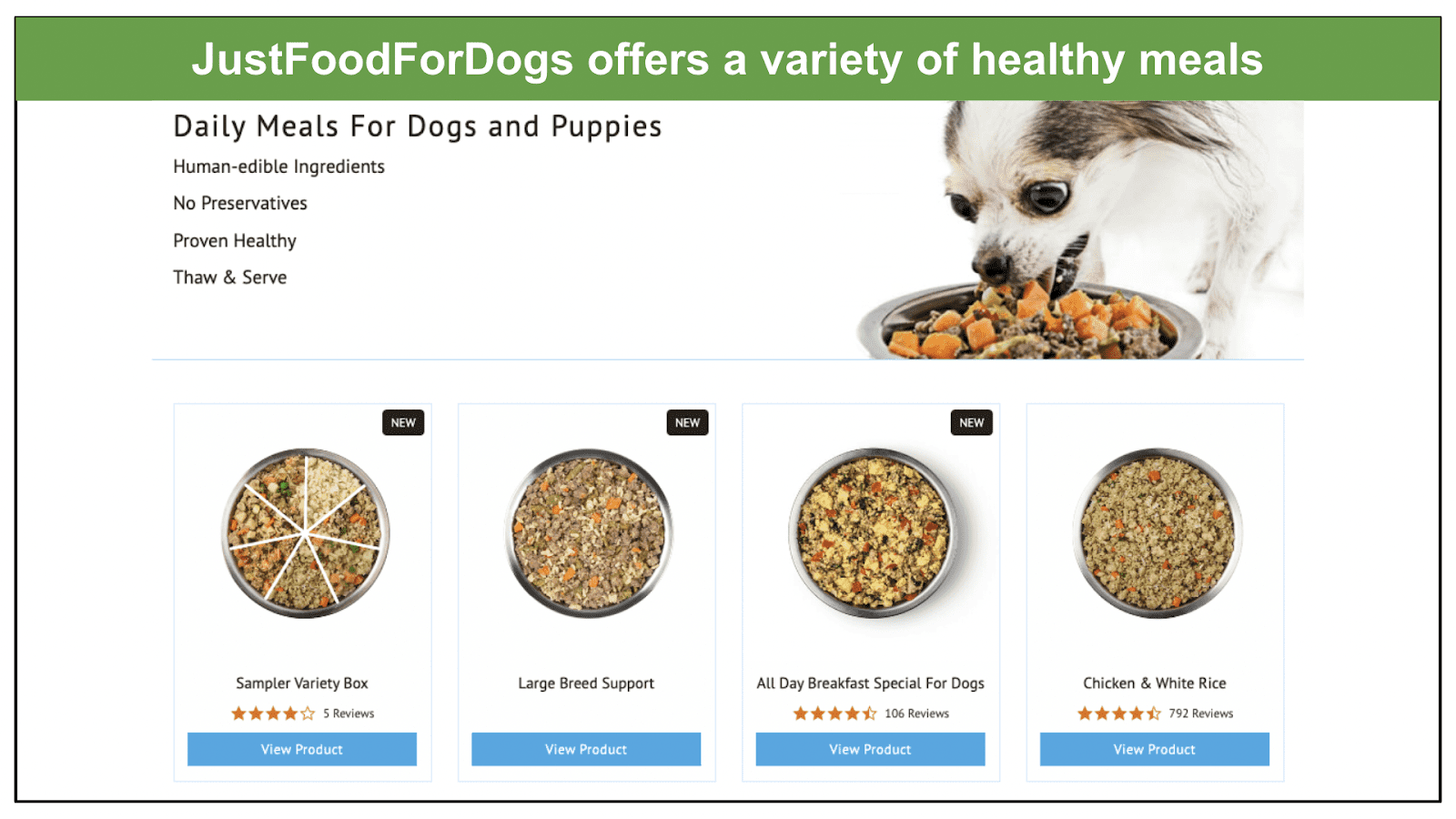 JustFoodForDogs vs. The Farmer’s Dog 2023 Who Wins?