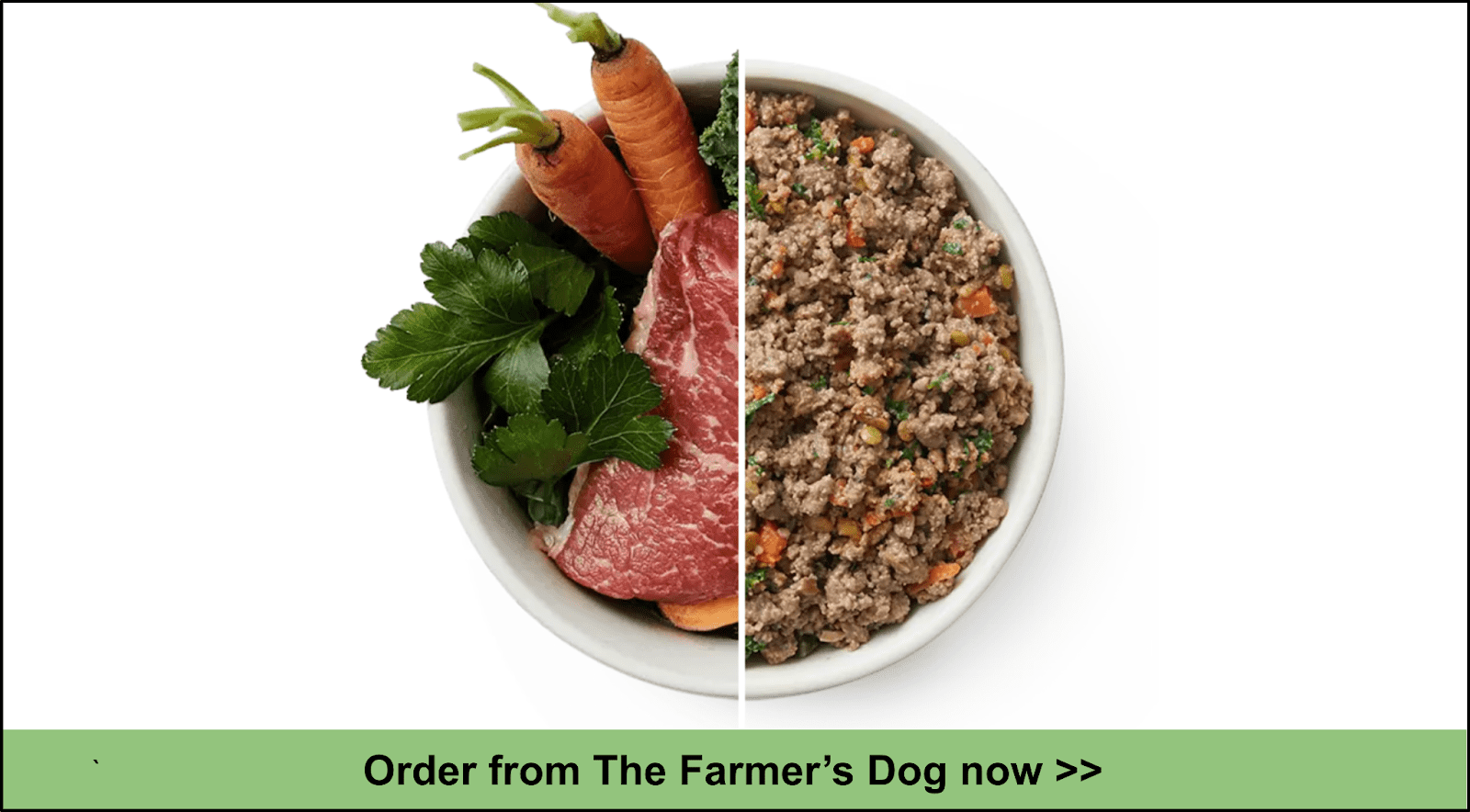 9 Best HumanGrade Dog Food Delivery Services 2023