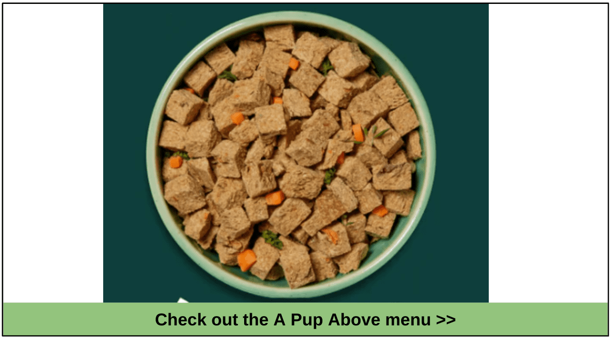 Best GrainFree Dog Food Delivery Services for 2023