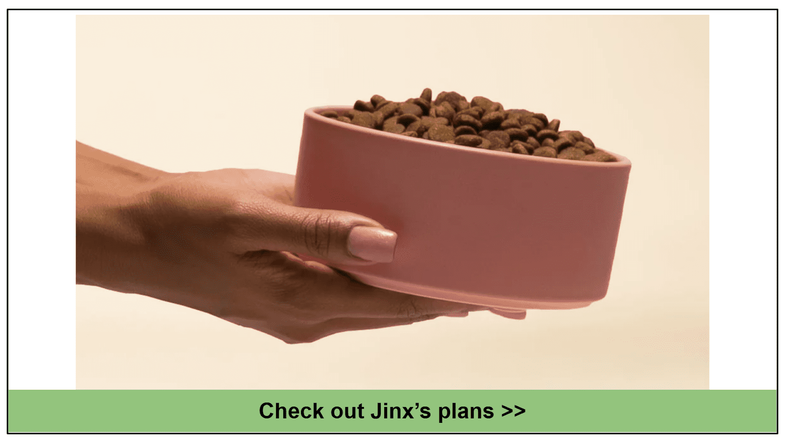 10 Best Dog Foods for Pitbulls with Skin Allergies 2024