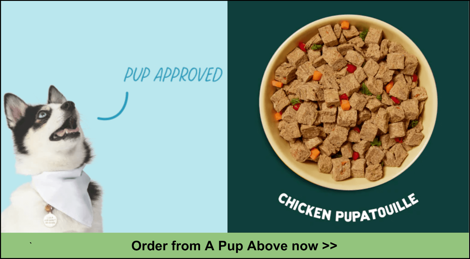 10 Best HumanGrade Dog Food Delivery Services 2023