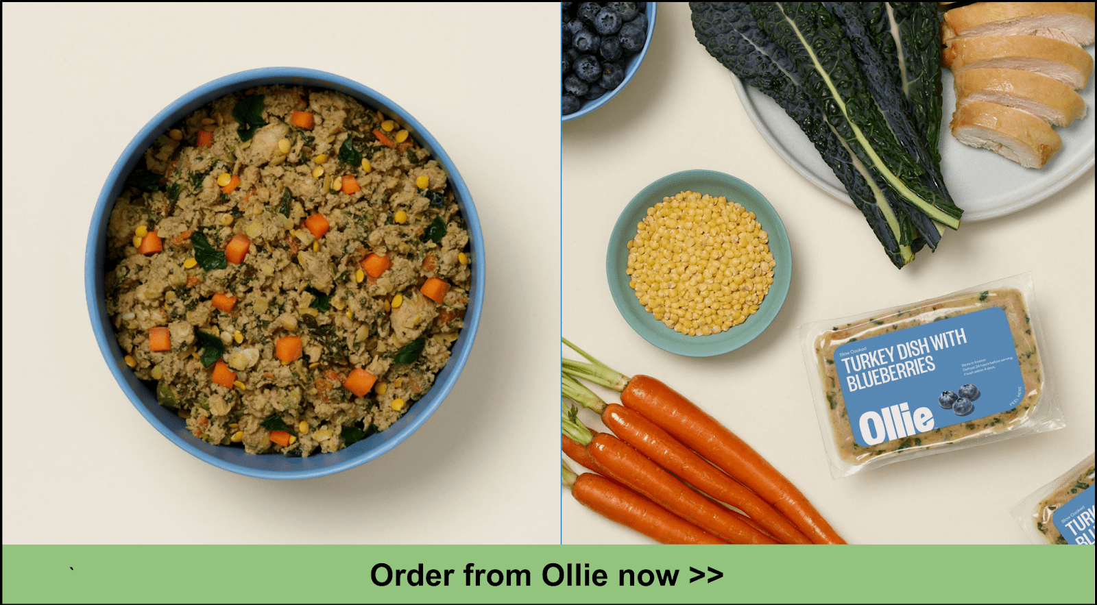 10 Best HumanGrade Dog Food Delivery Services 2023