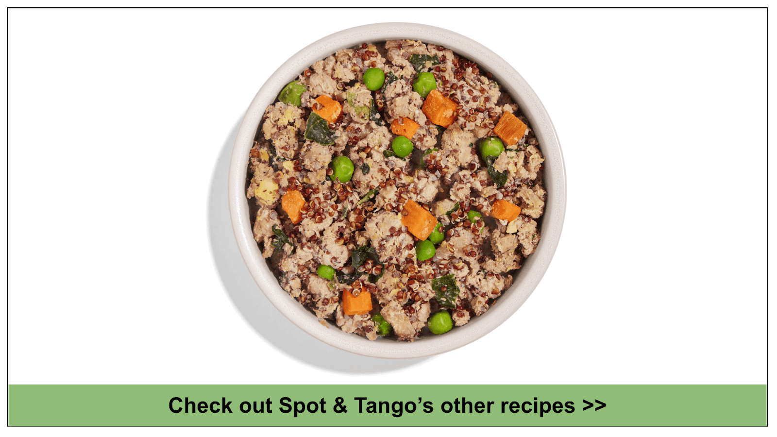 6 Best Pet Food Delivery for Small Dogs in 2024