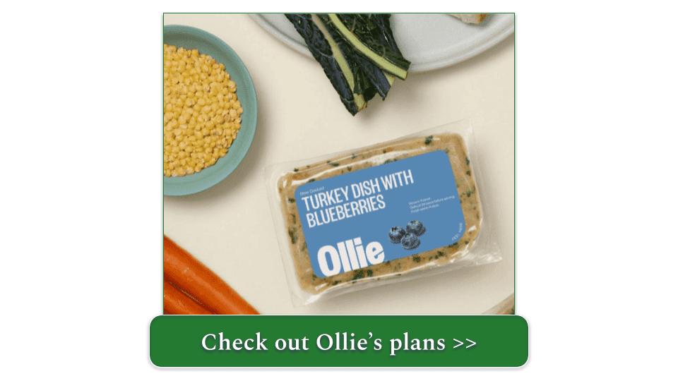 10 Best Pet Food Delivery Raleigh NC 2024 Ranked