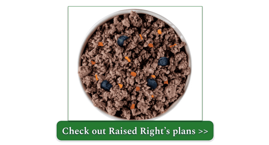 10 Best Subscription Dog Food Delivery 2024 Fast & Healthy