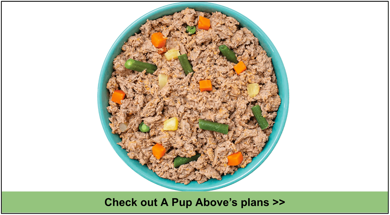 10 Best Fresh Dog Food Delivery Services 2023 Updated List