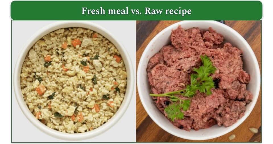 Is Fresh Food Better for Dogs?